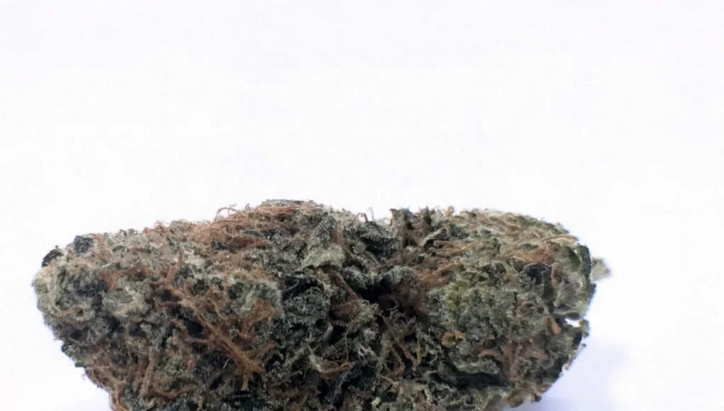 AK-47 cannabis flower from the original UK review archive.