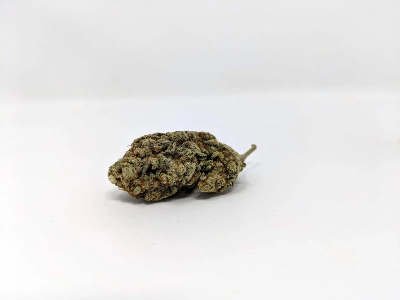 Alien Cream Cake cannabis flower from the original UK review archive.