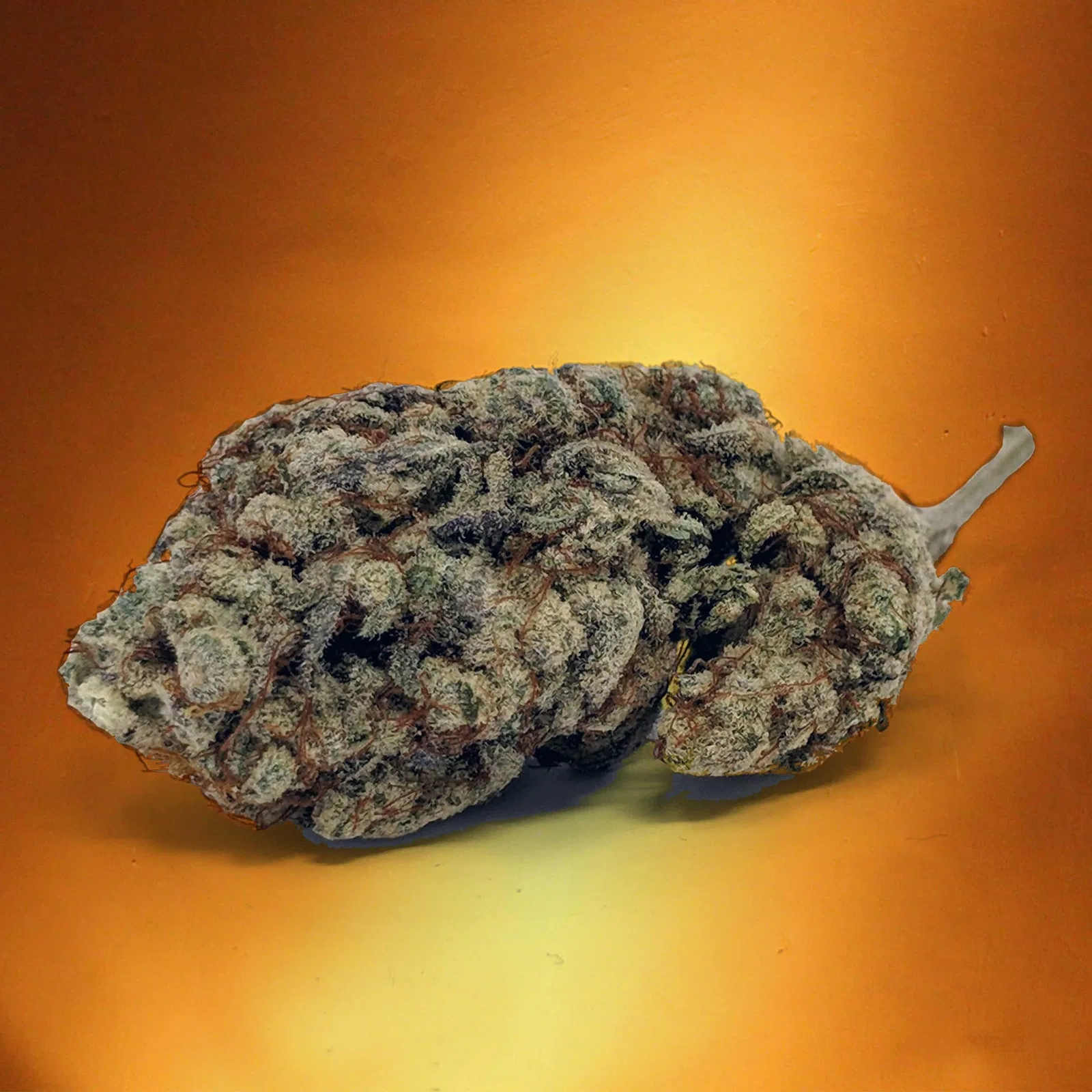 Alien Cream Cake