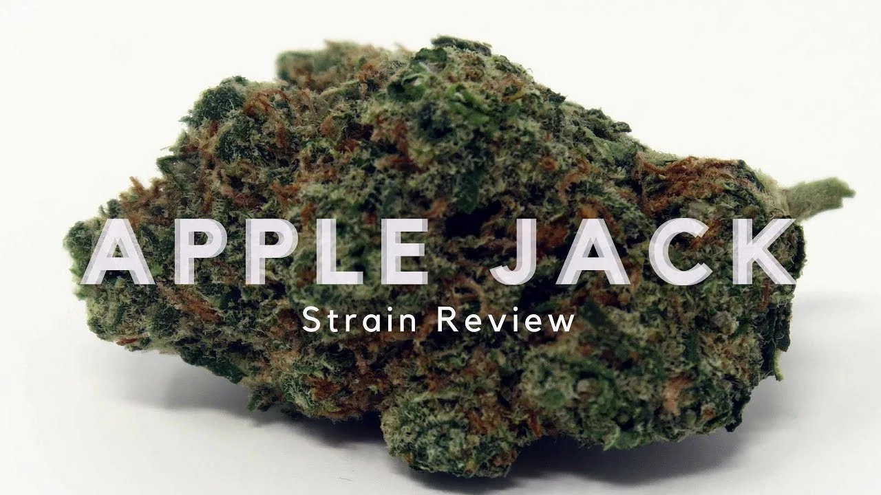 Apple Jack cannabis flower from the original UK review archive.