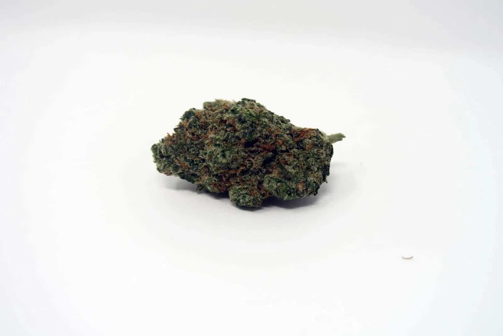 Apple Jack cannabis flower from the original UK review archive.
