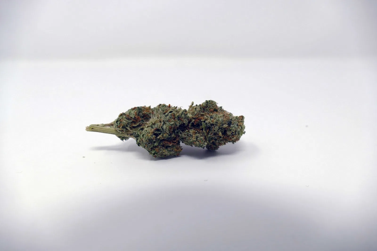 B29 OG cannabis flower from the original UK review archive.