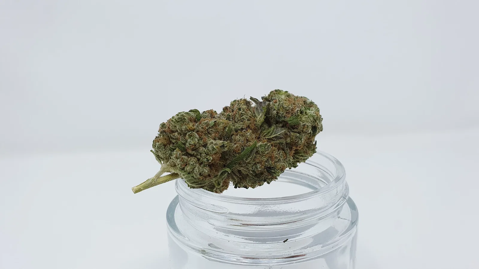 Banana MAC cannabis flower from the original UK review archive.