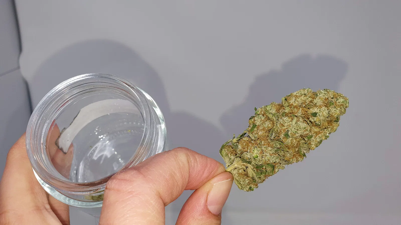 Banana MAC cannabis flower from the original UK review archive.