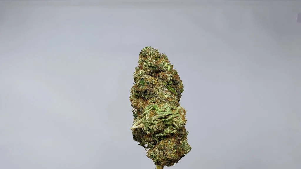 Banana MAC cannabis flower from the original UK review archive.