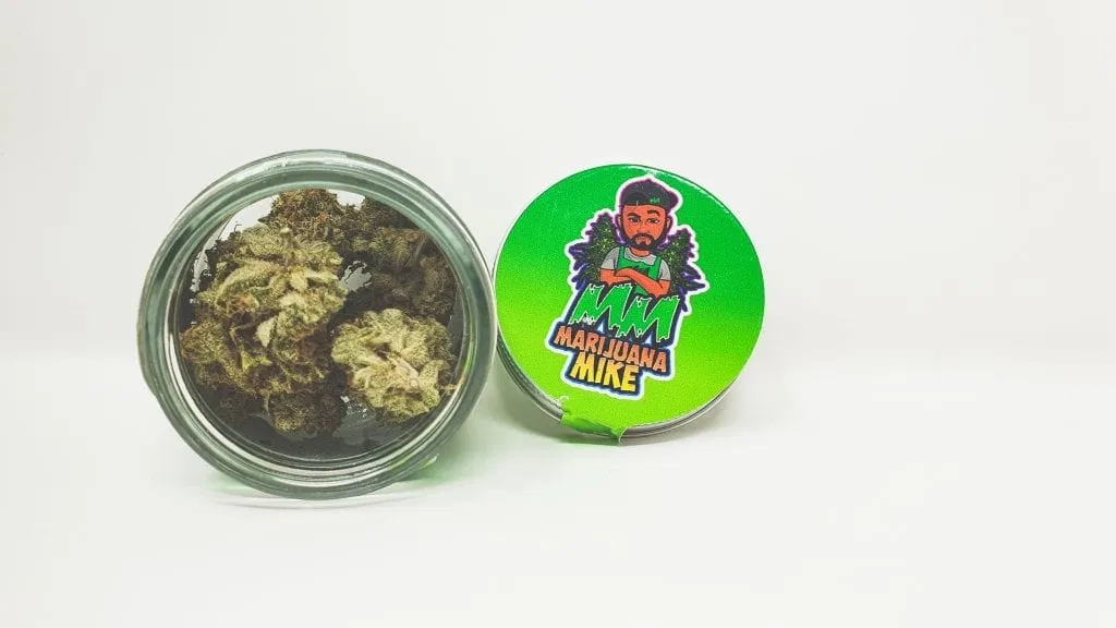 Banana Punch cannabis flower from the original UK review archive.