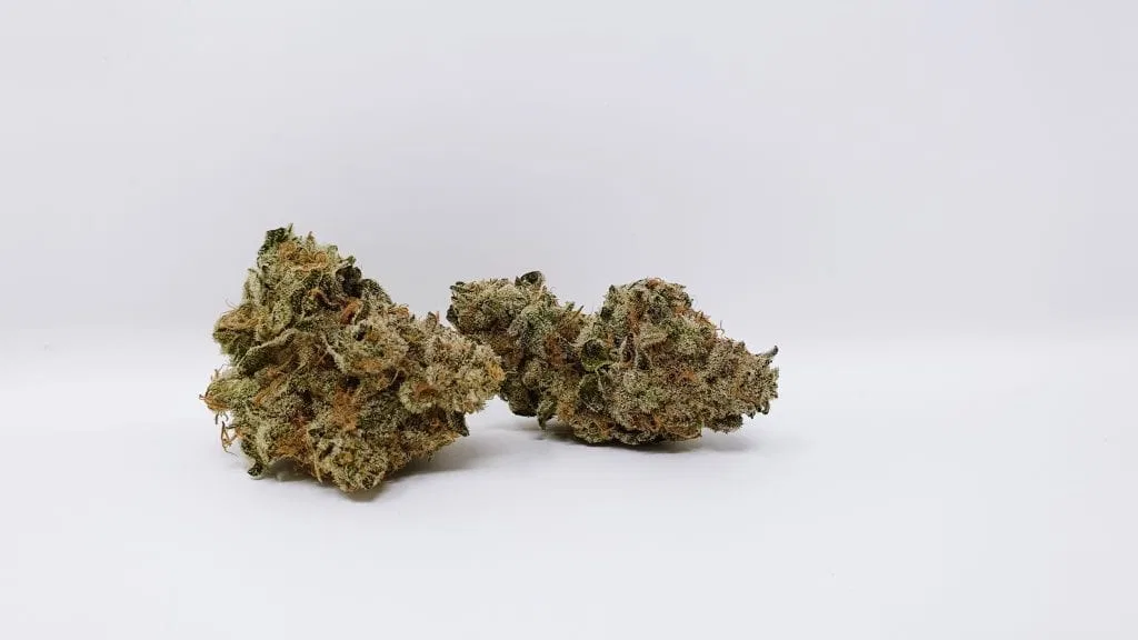 Banana Punch cannabis flower from the original UK review archive.