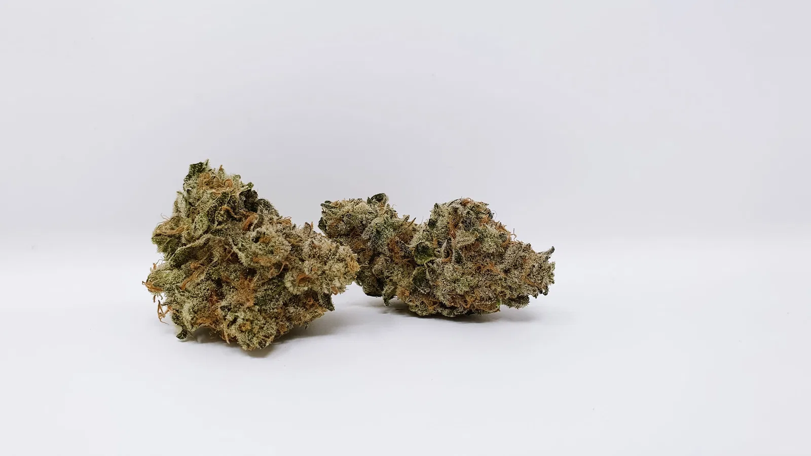 Banana Punch cannabis flower from the original UK review archive.