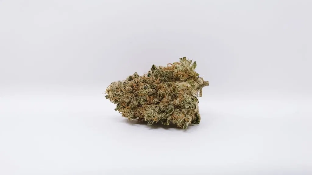 Banana Punch cannabis flower from the original UK review archive.