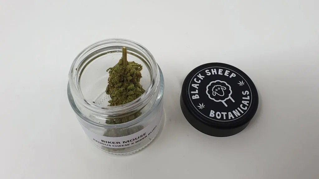 Biker Mouse cannabis flower from the original UK review archive.