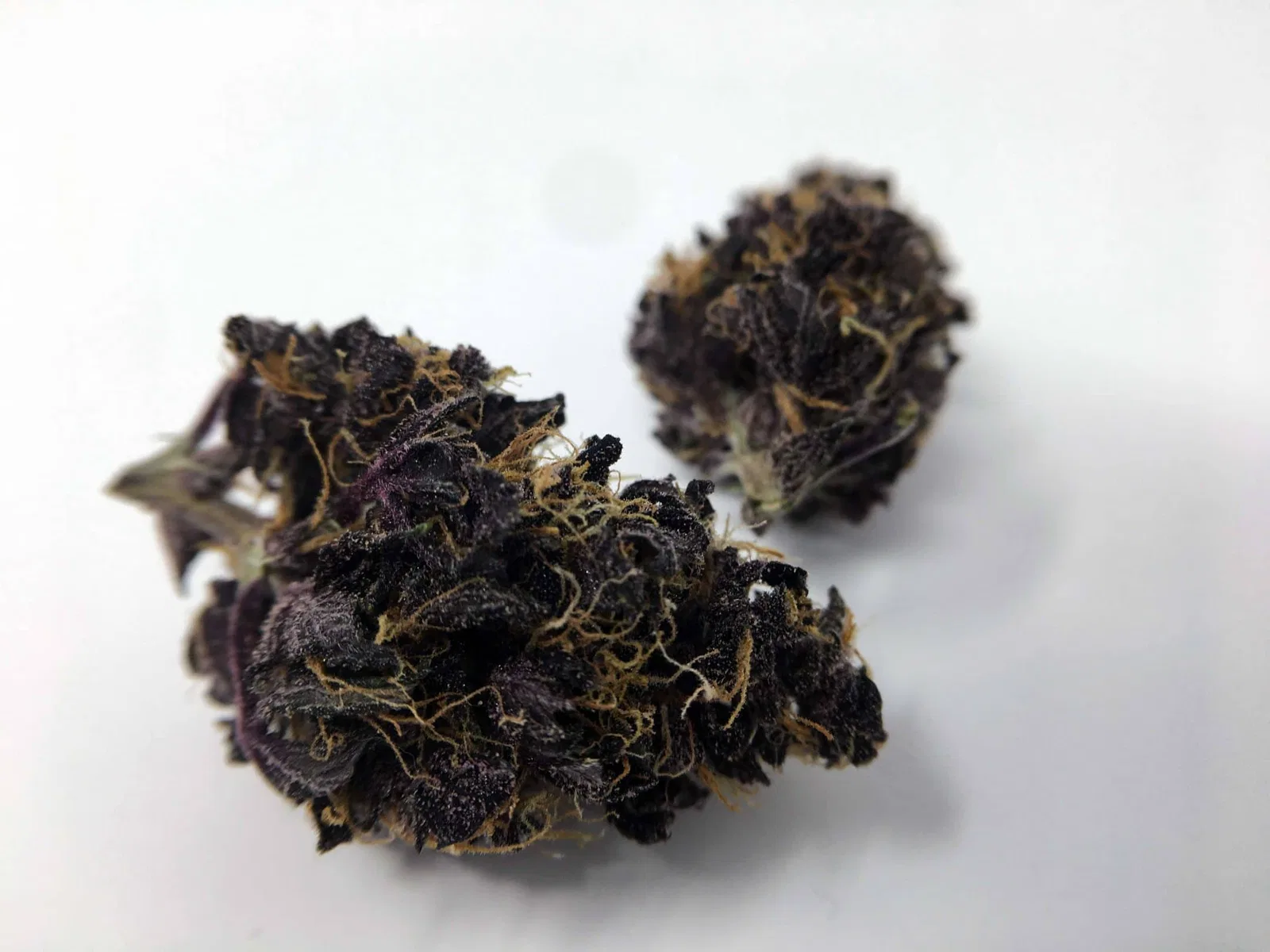 Blackberry Kush