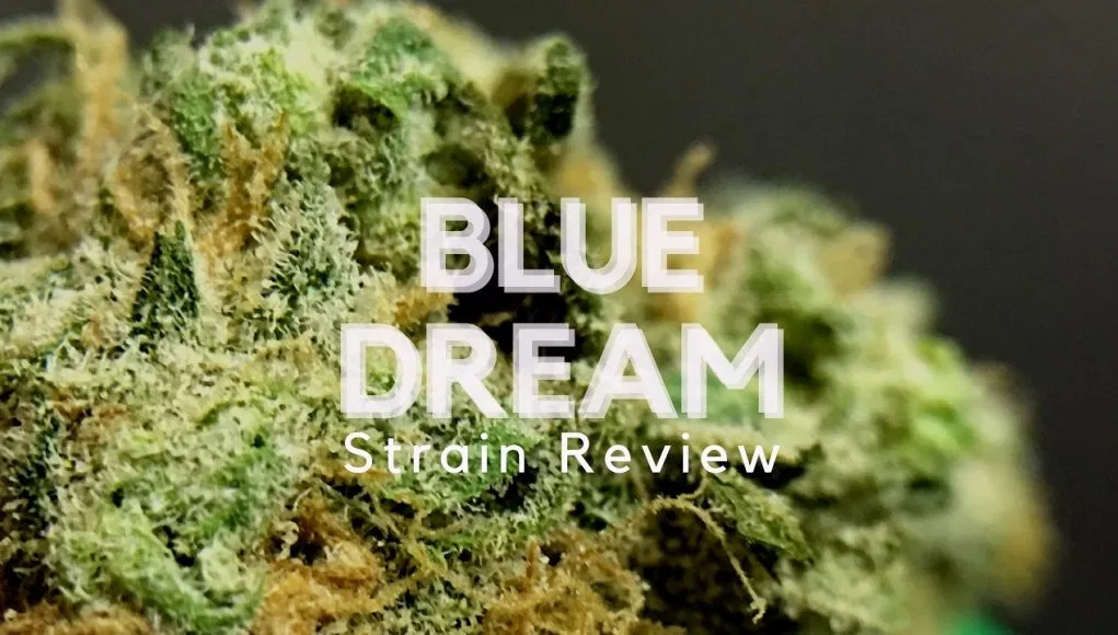 Blue Dream
