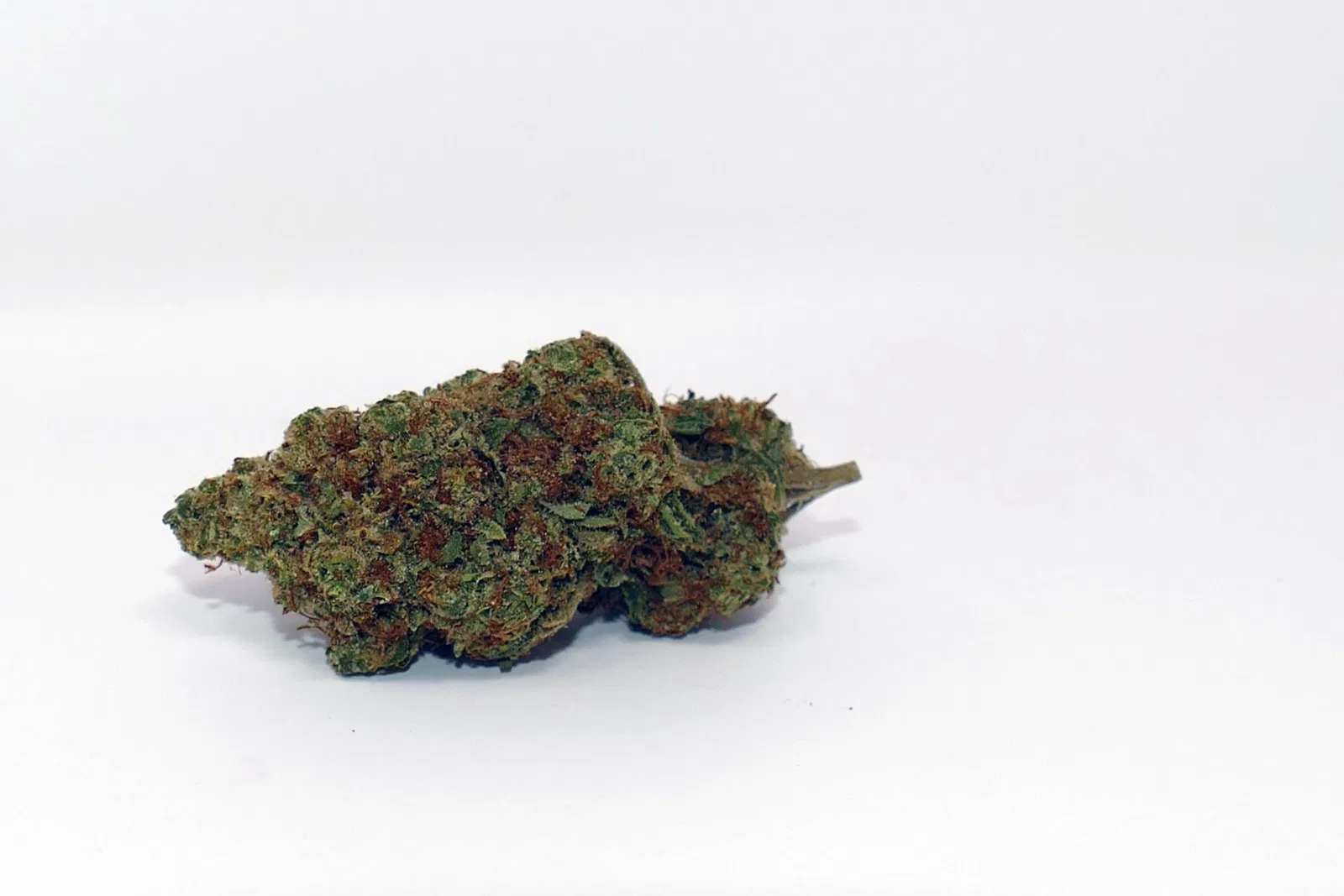 CaliPo cannabis flower from the original UK review archive.