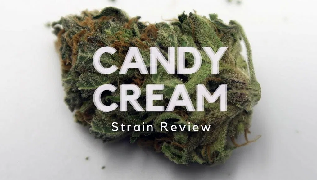 Candy Cream cannabis flower from the original UK review archive.