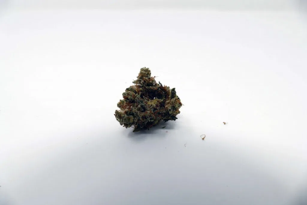 Casey Jones cannabis flower from the original UK review archive.