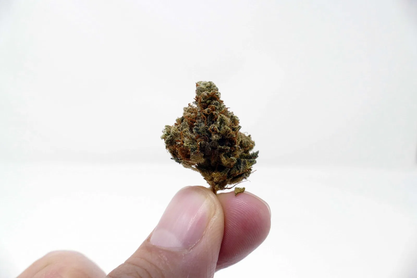Casey Jones cannabis flower from the original UK review archive.