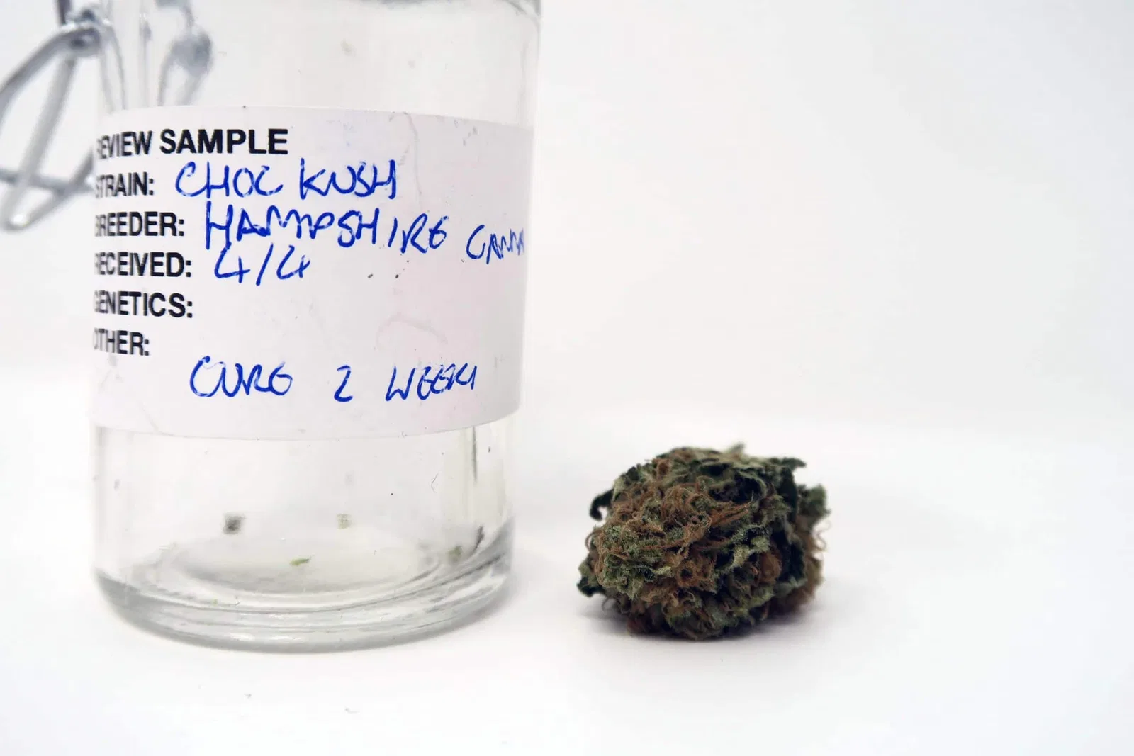 Chocolate Kush