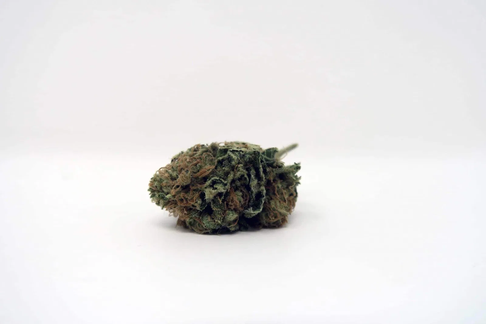 Chocolate Kush cannabis flower from the original UK review archive.