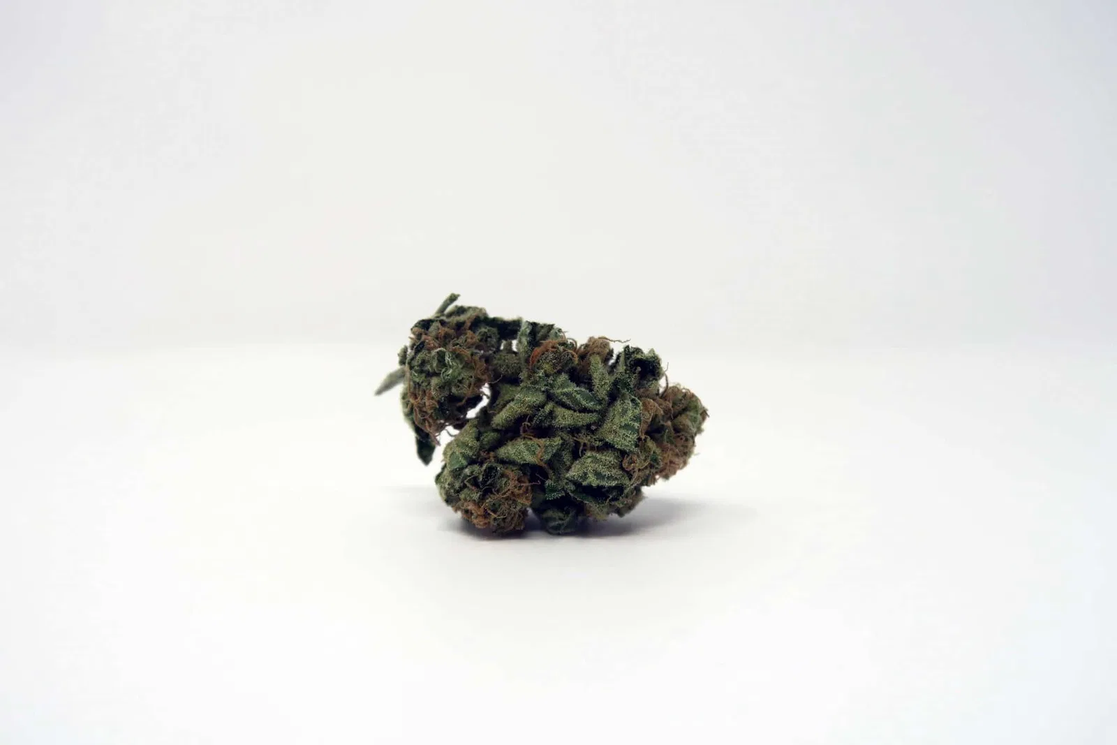 Chocolate Kush cannabis flower from the original UK review archive.