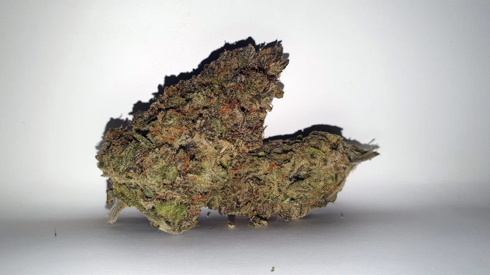Chocolate Orange cannabis flower from the original UK review archive.
