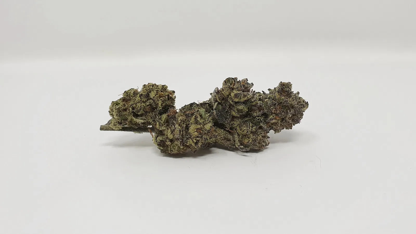 Cookies Zauce cannabis flower from the original UK review archive.