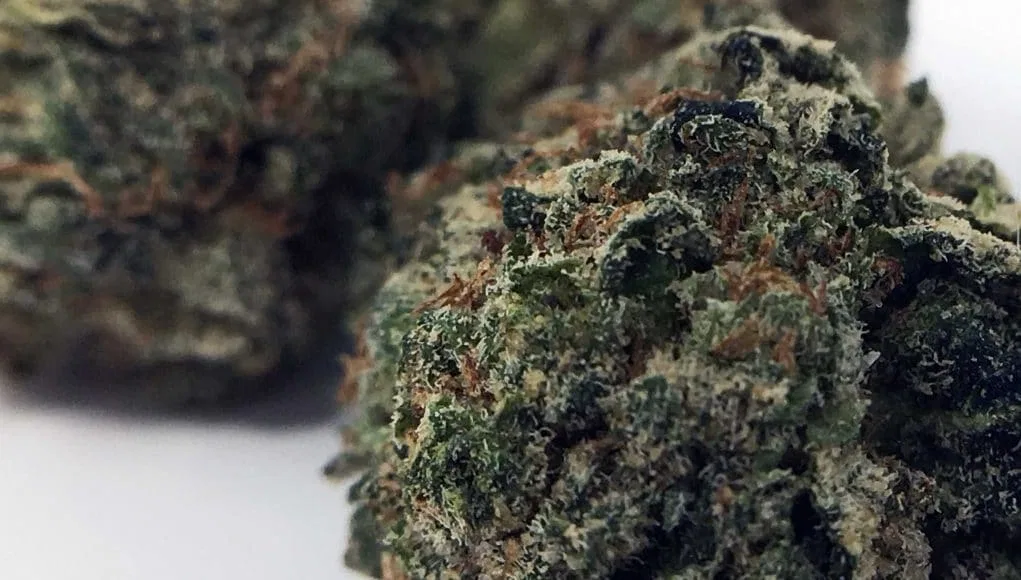 Deathbed Kush cannabis flower from the original UK review archive.