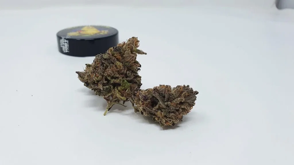 Divine Storm cannabis flower from the original UK review archive.