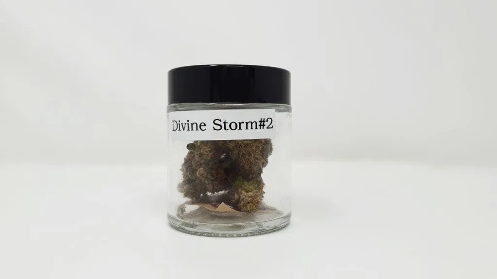 Divine Storm