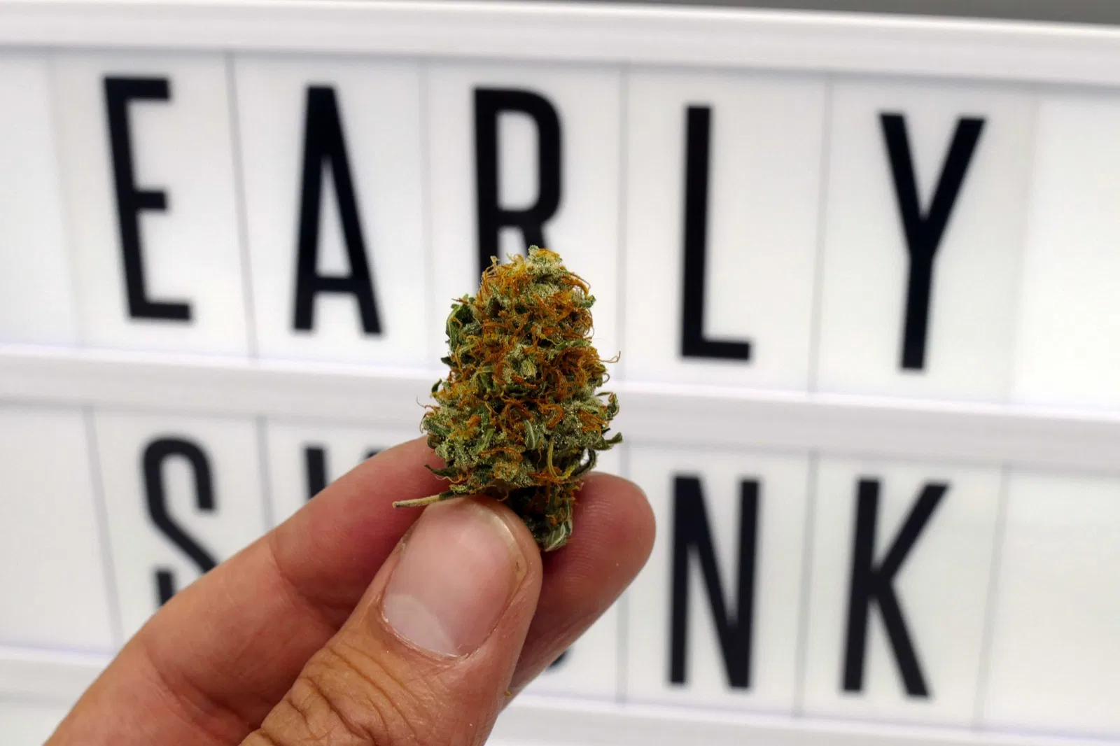 Early Skunk