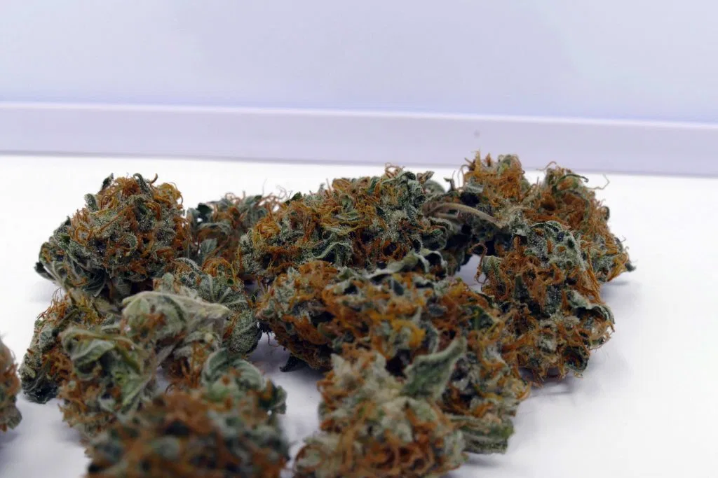 Early Skunk