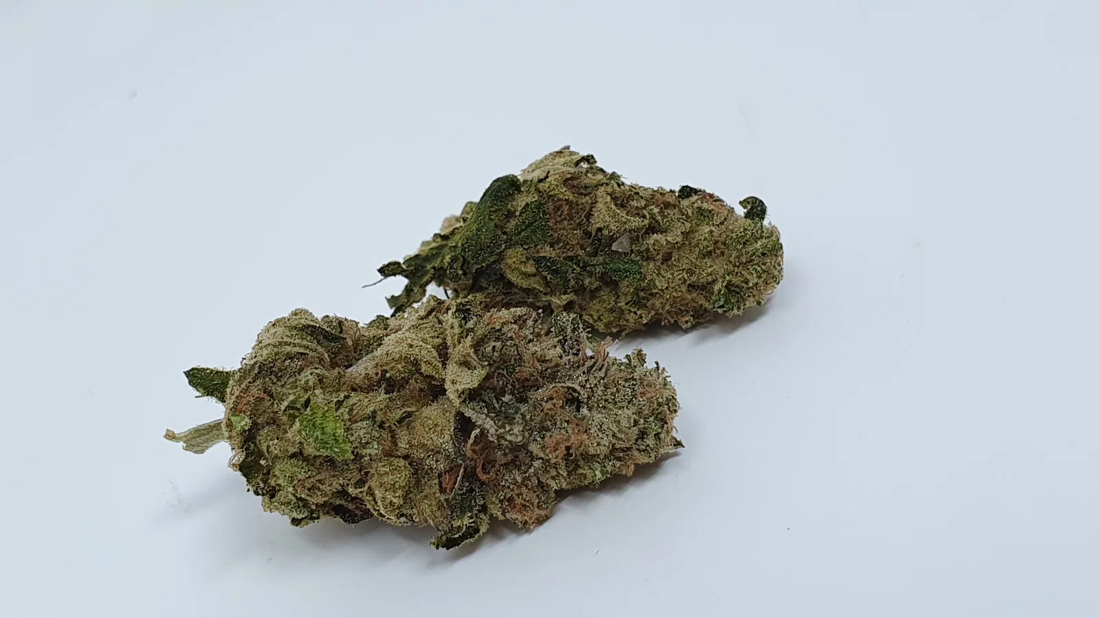 Enzo cannabis flower from the original UK review archive.