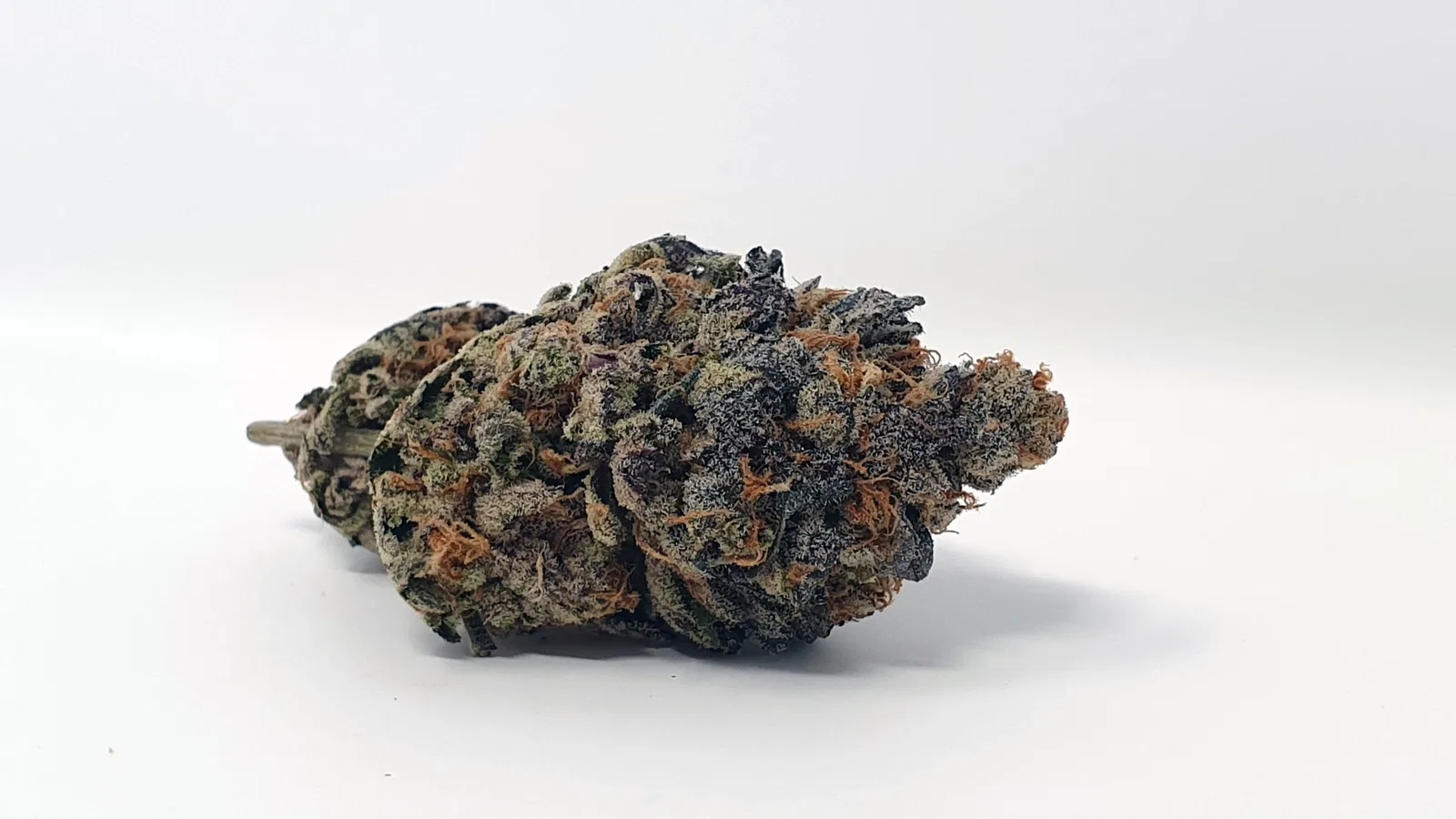 Footloose cannabis flower from the original UK review archive.