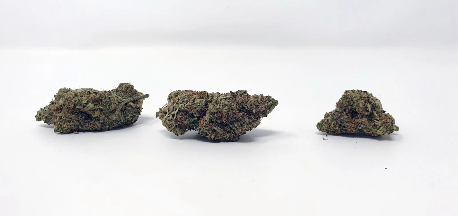 Ginger Glue by Black Sheep Botanicals