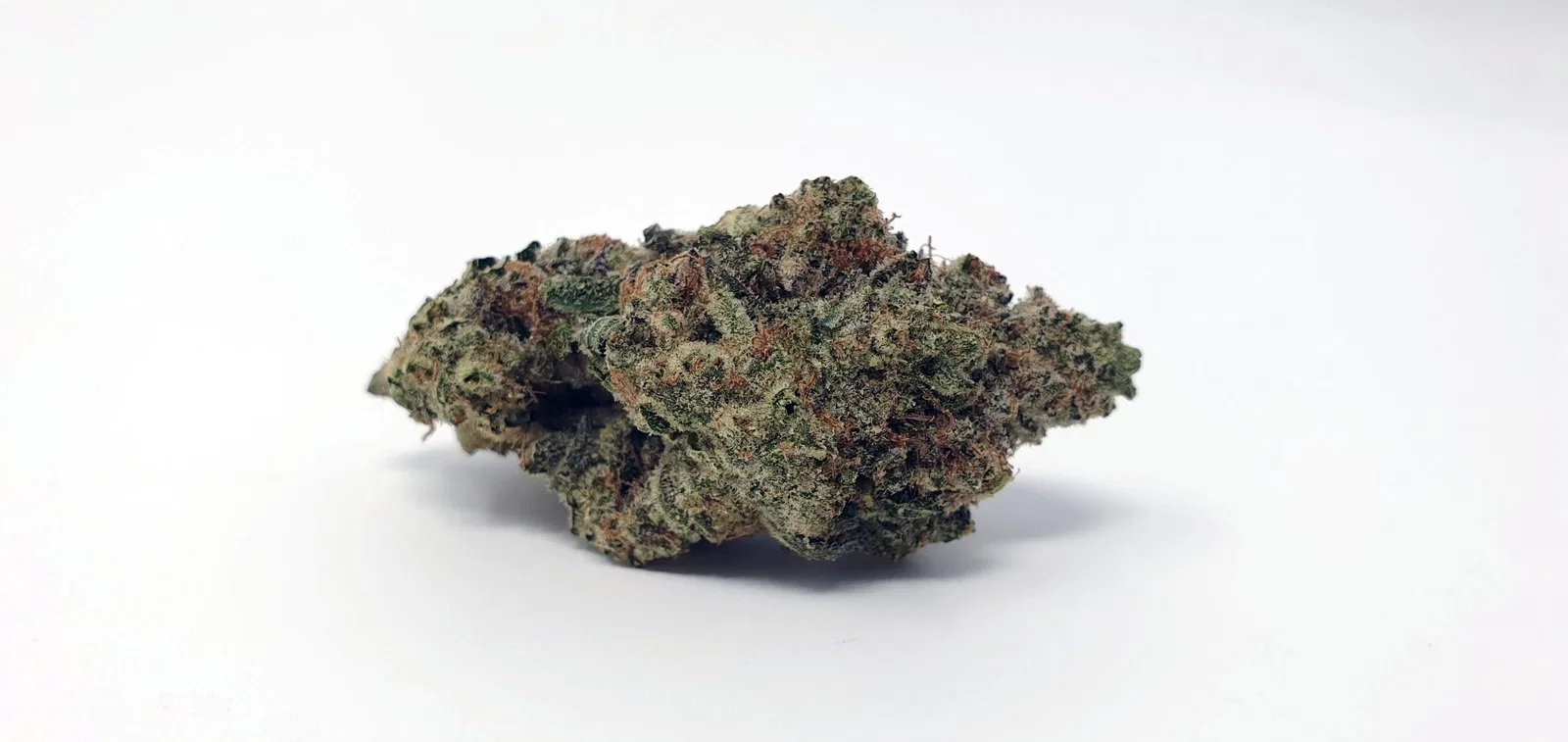 Ginger Glue by Black Sheep Botanicals cannabis flower from the original UK review archive.