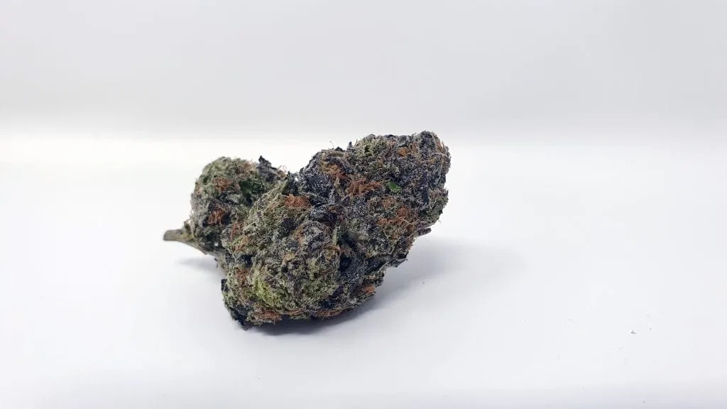 Girl Guide Cookies cannabis flower from the original UK review archive.