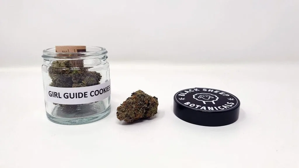 Girl Guide Cookies