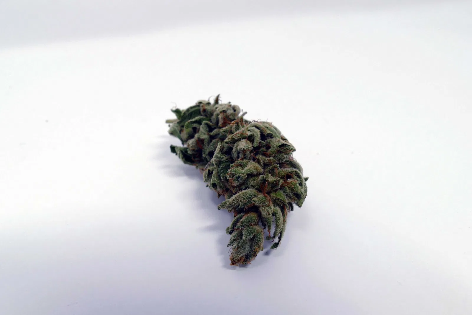 Gorilla Glue cannabis flower, shown as a similar-cultivar reference for Chemdawg; not Chemdawg