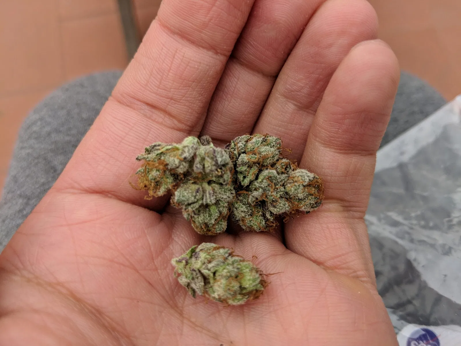 Green Gelato cannabis flower from the original UK review archive.