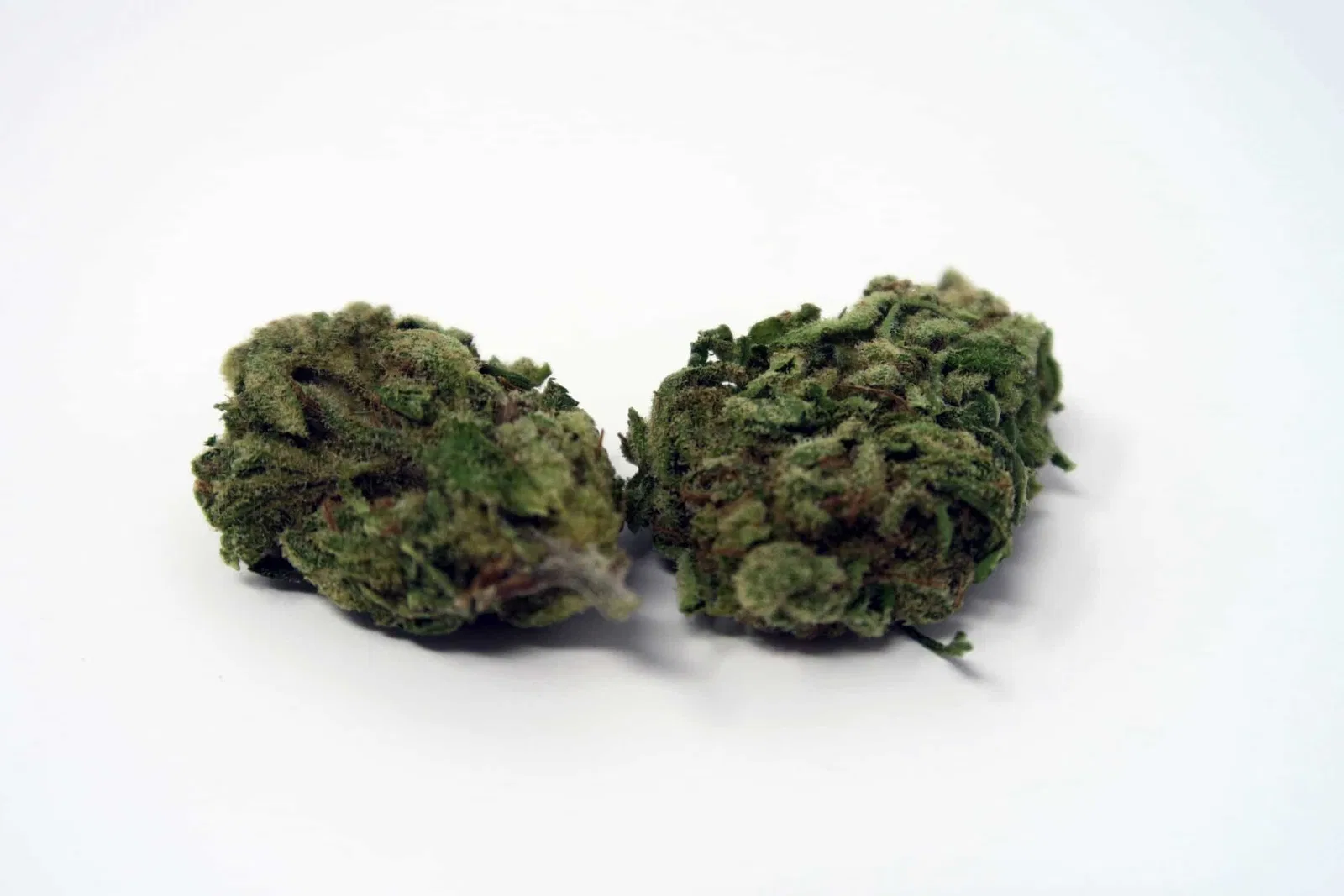 Green Kiss cannabis flower from the original UK review archive.