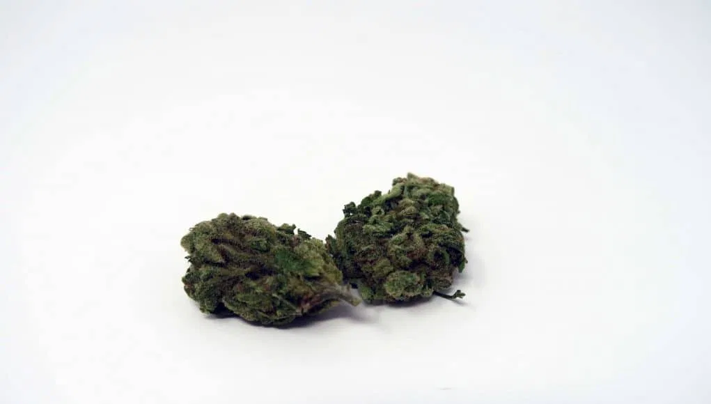 Green Kiss cannabis flower from the original UK review archive.