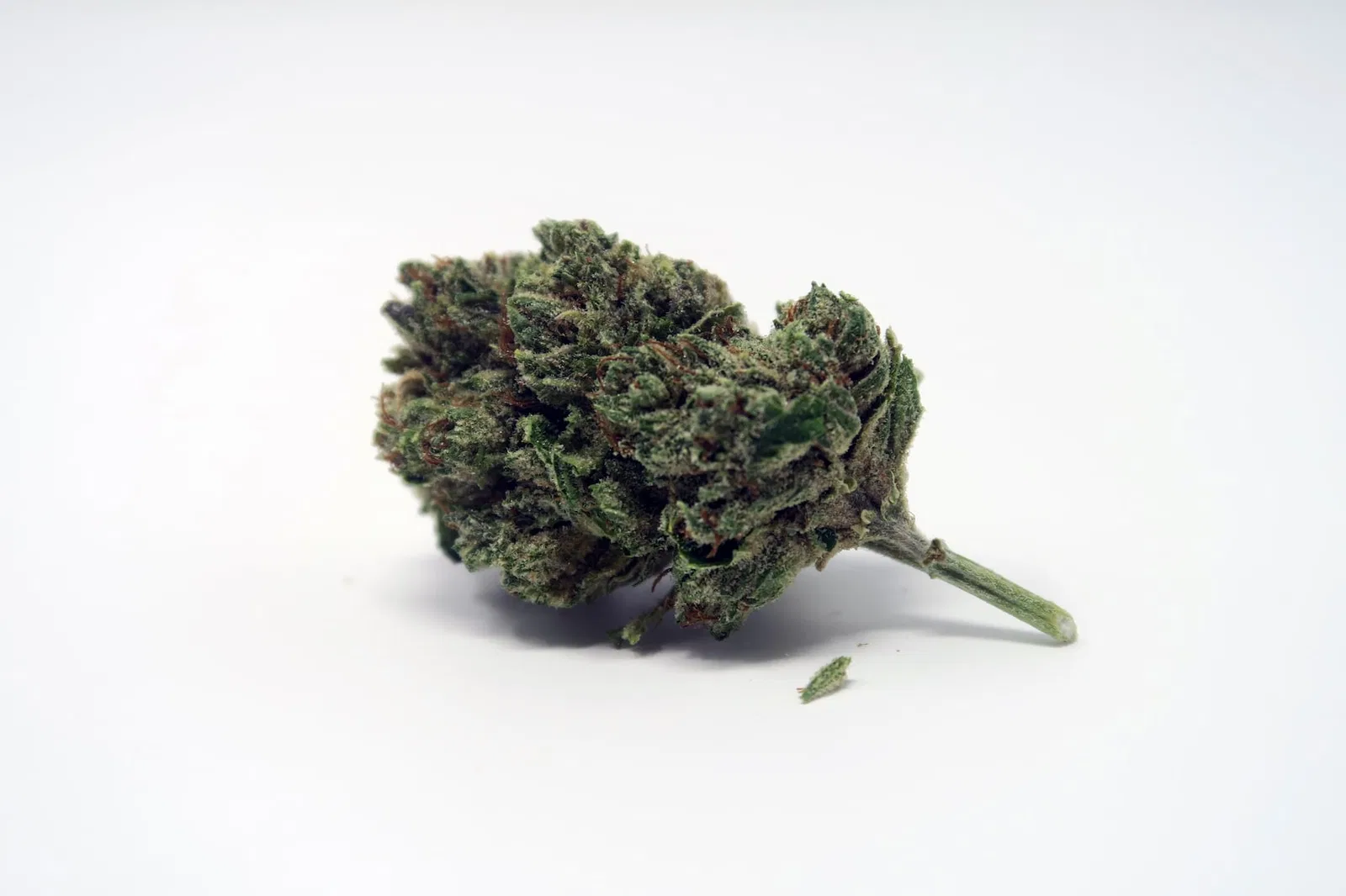 Headband cannabis flower from the original UK review archive.