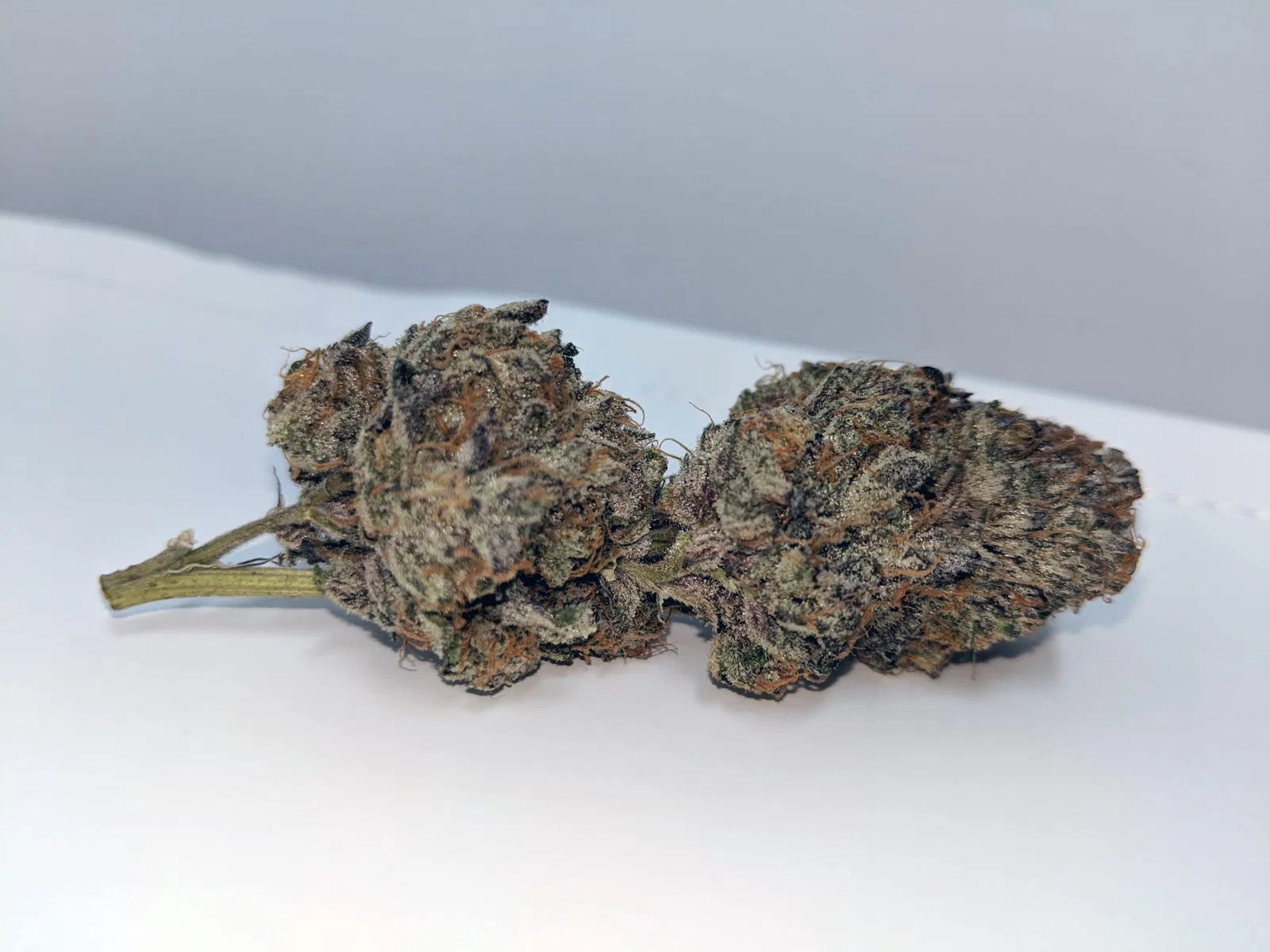Ice Cream Cake cannabis flower from the original UK review archive.