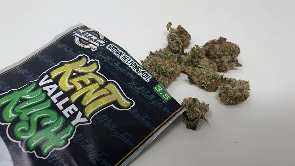 Kent Valley Kush cannabis flower from the original UK review archive.