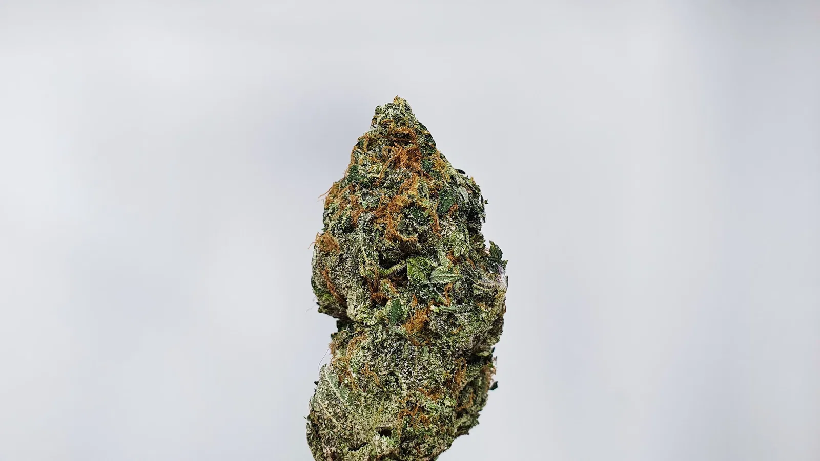 Kosherberriez