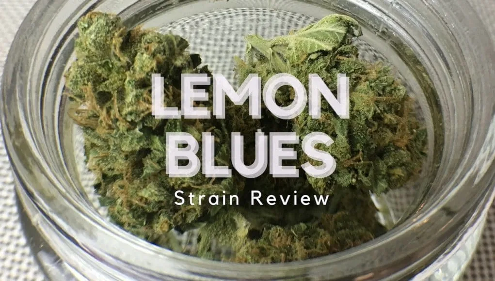 Lemon Blues cannabis flower from the original UK review archive.