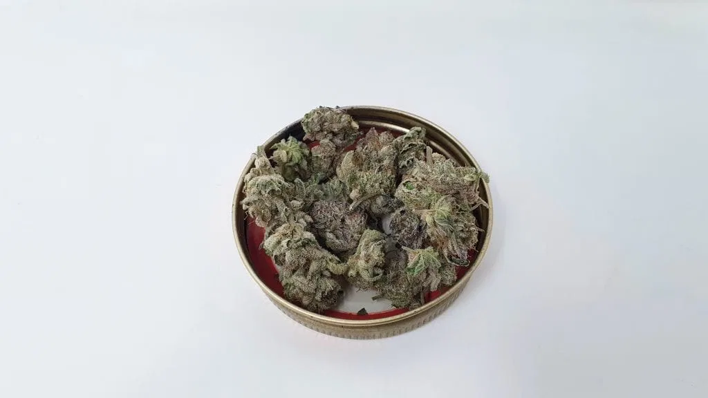 Lemon Lime Pie
