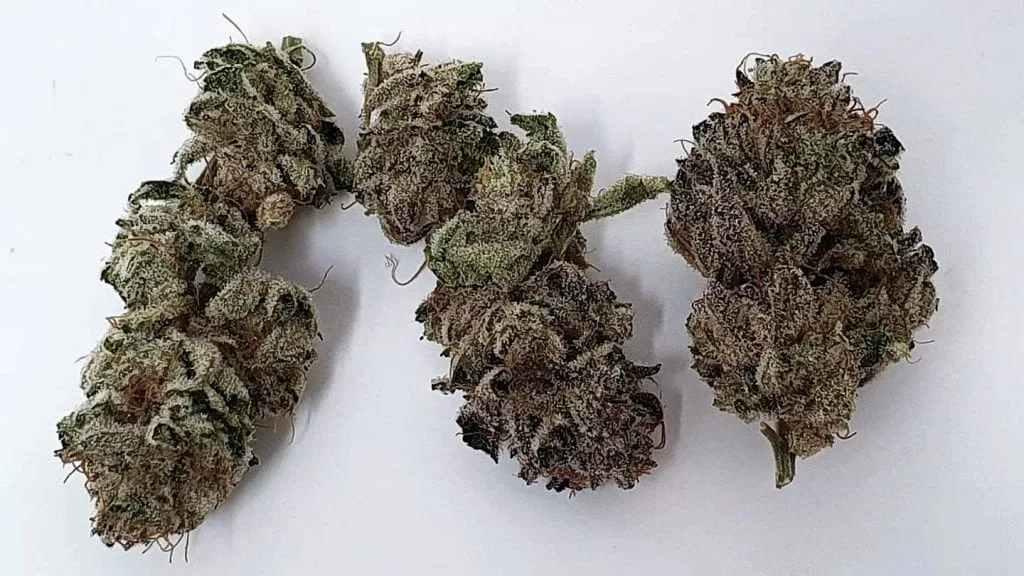 Lemon Lime Pie cannabis flower from the original UK review archive.