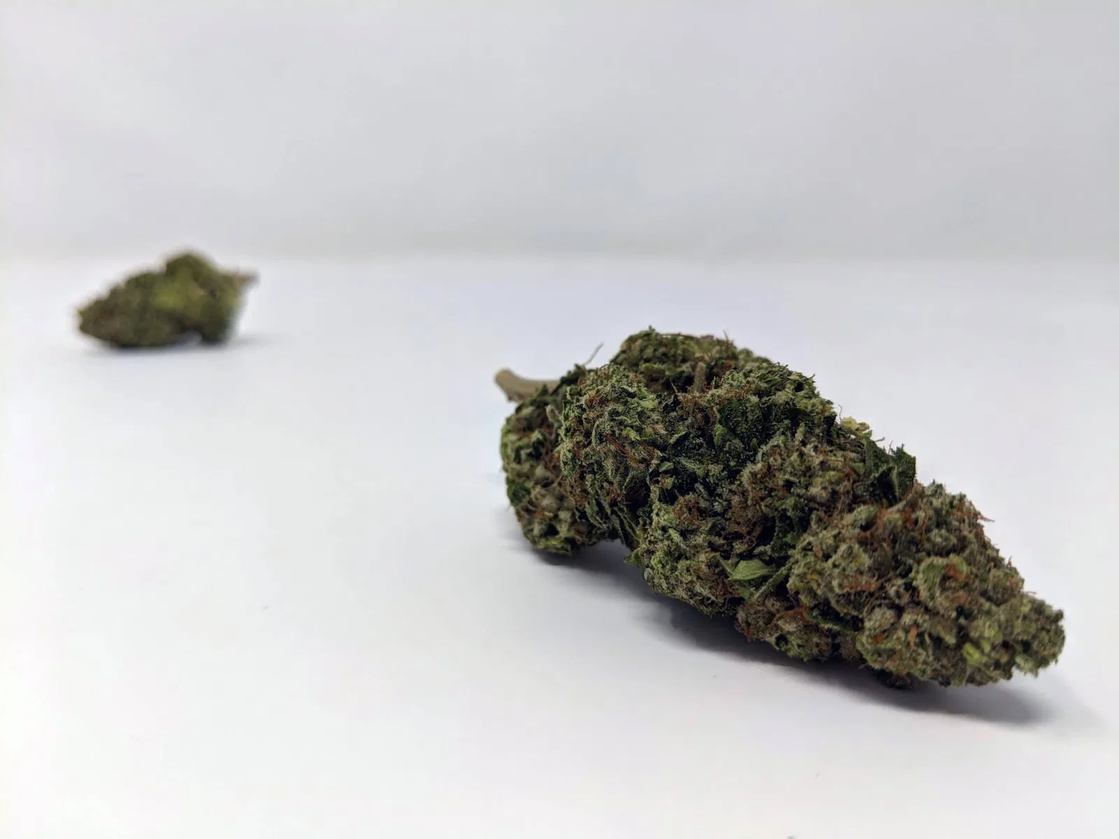 Marmalade cannabis flower from the original UK review archive.