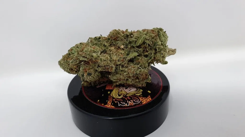 Marmalade cannabis flower from the original UK review archive.
