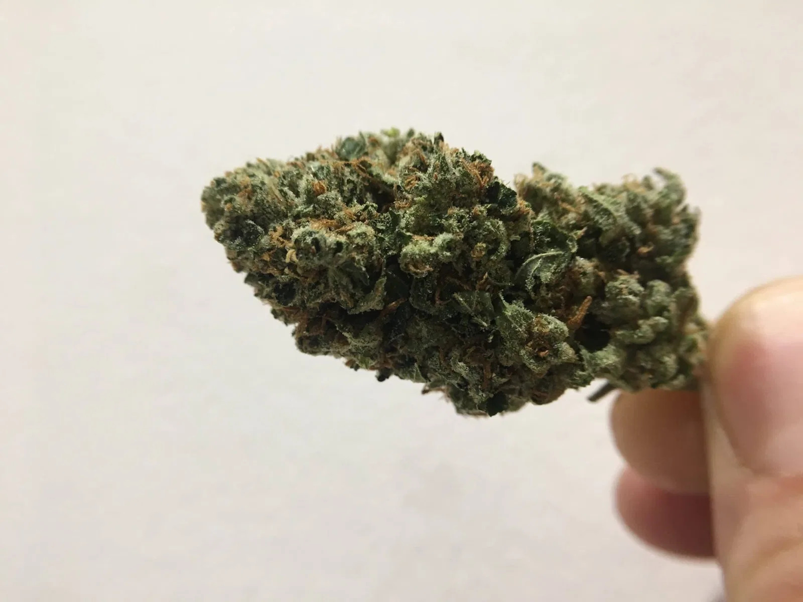OG #18